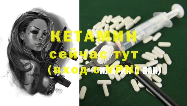прущие грибы Горняк
