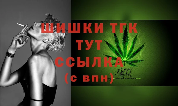гидропоника Горнозаводск