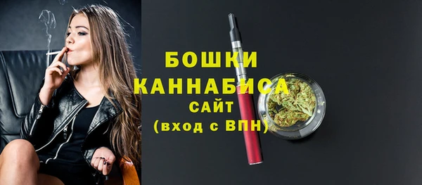 гидропоника Горнозаводск