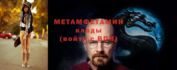 прущие грибы Горняк