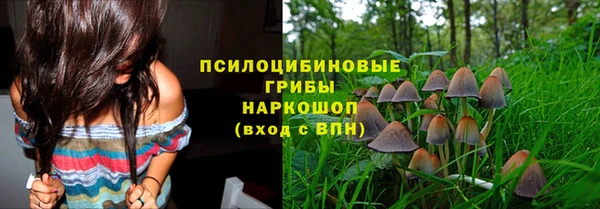 гидропоника Горнозаводск