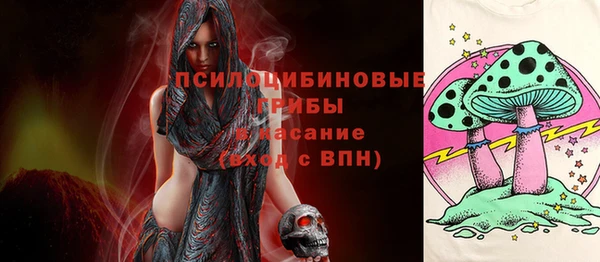 МДПВ Горно-Алтайск