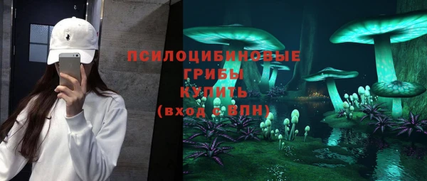 гидропоника Горнозаводск