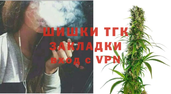 гидропоника Горнозаводск