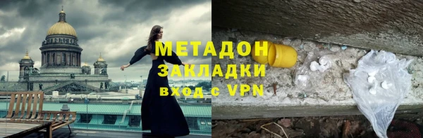 прущие грибы Горняк